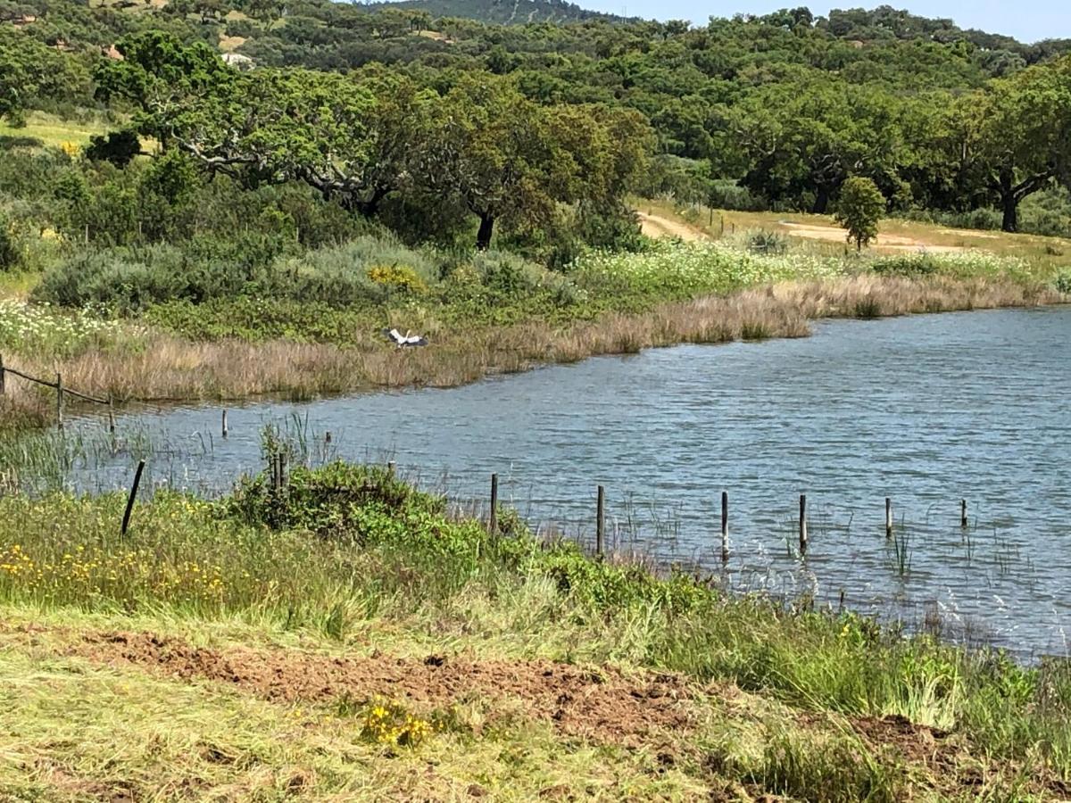 Fontes - A Essencia Do Alentejo Com Lago Privado 렌돈도 외부 사진