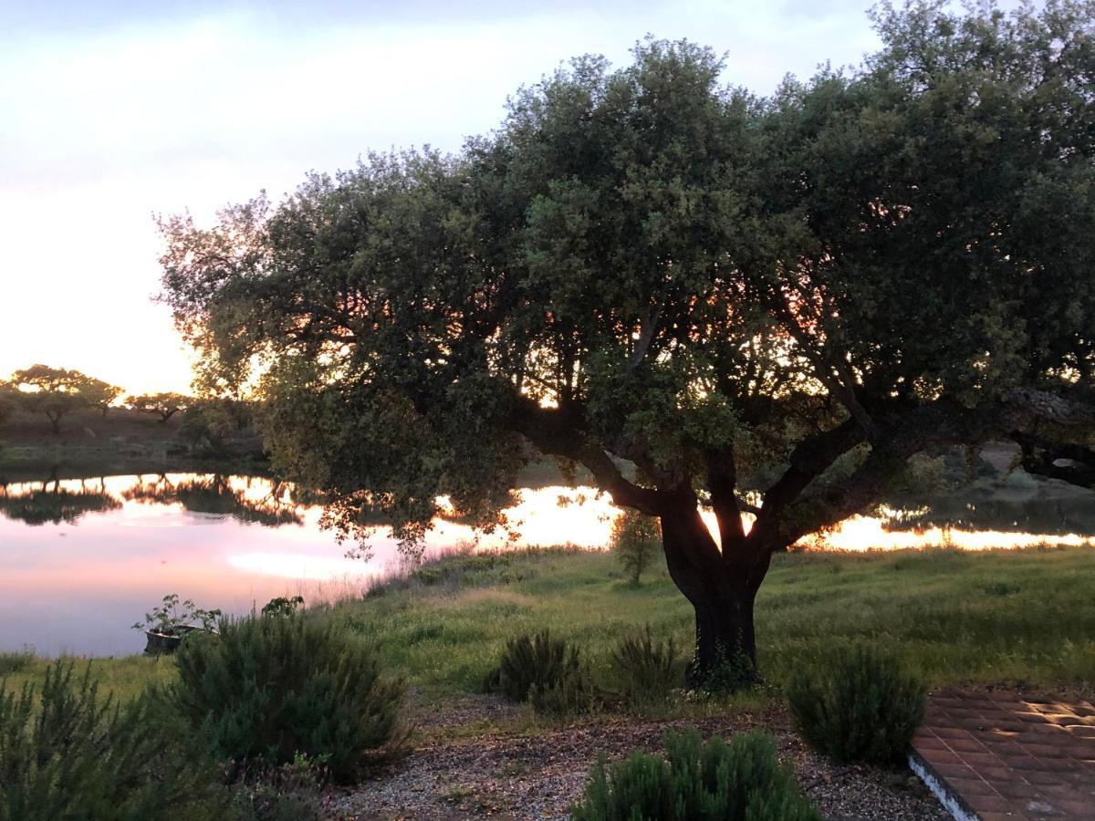 Fontes - A Essencia Do Alentejo Com Lago Privado 렌돈도 외부 사진