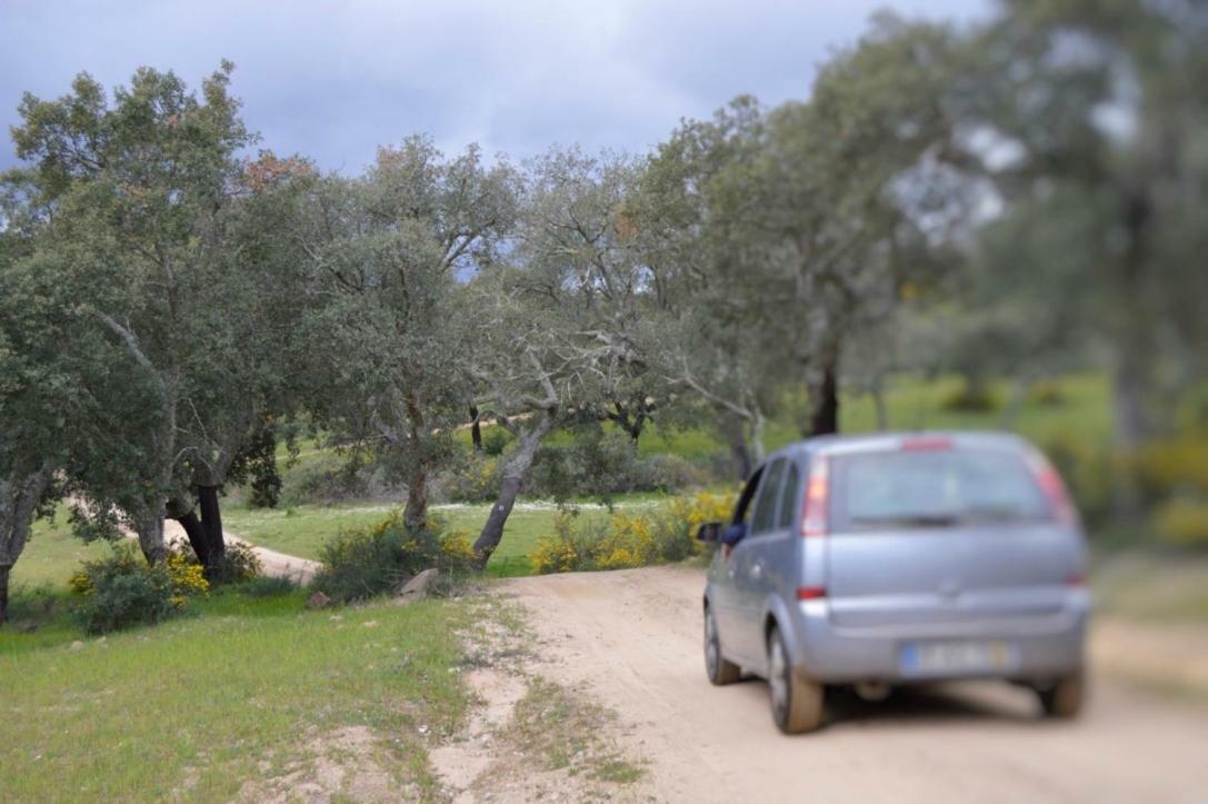Fontes - A Essencia Do Alentejo Com Lago Privado 렌돈도 외부 사진
